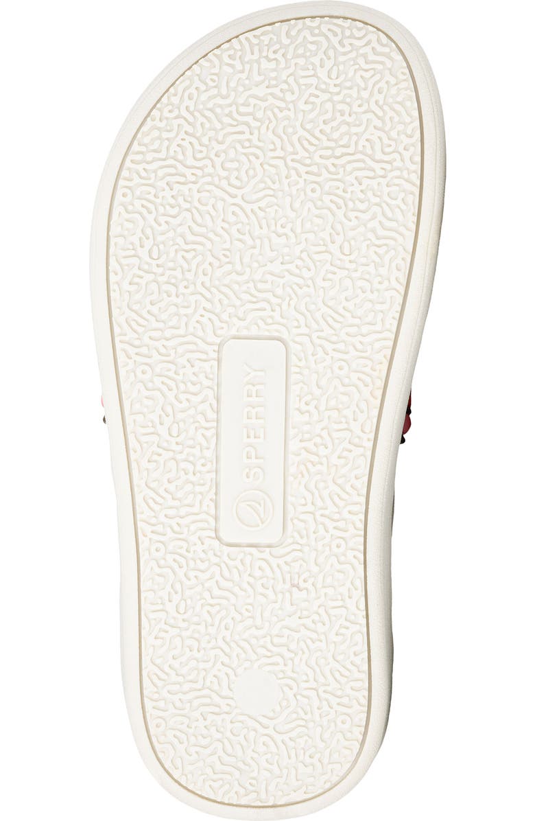 Sperry Kids' Parrotfish Flip Flop, Alternate, color,