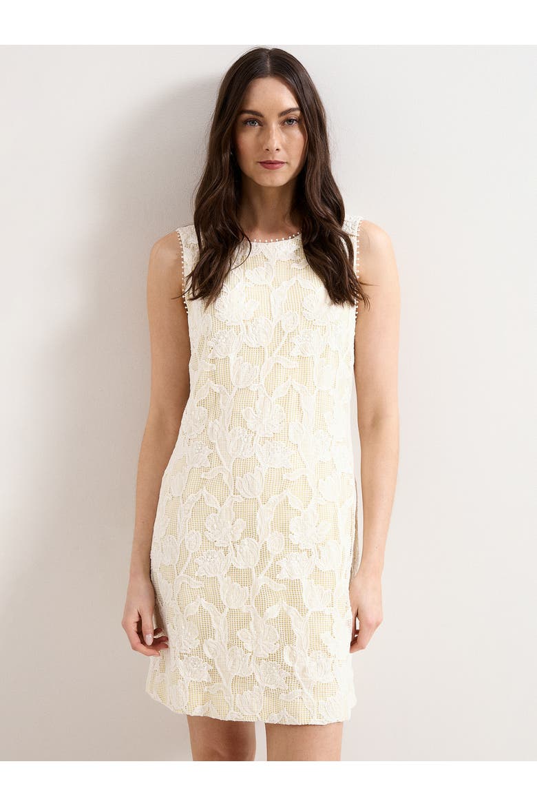 Bryony Sleeveless Lace Mini Dress, Alternate, color, Ivory