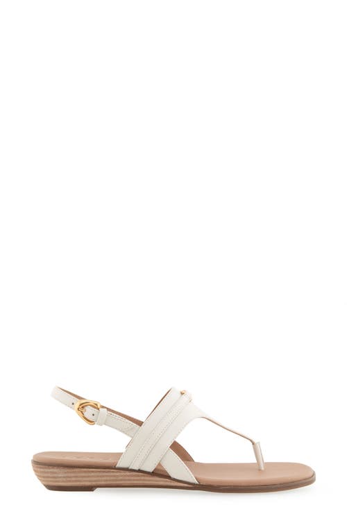 Shop Aerosoles Gemal Slingback Sandal
