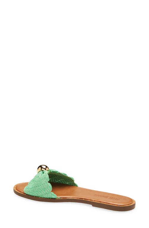Steve Madden Dipsy Slide Sandal