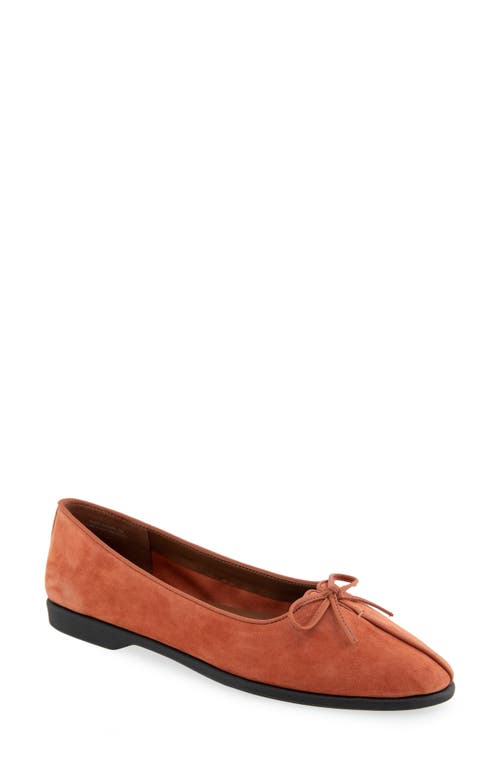 AEROSOLES AEROSOLES NOVIA BALLET FLAT