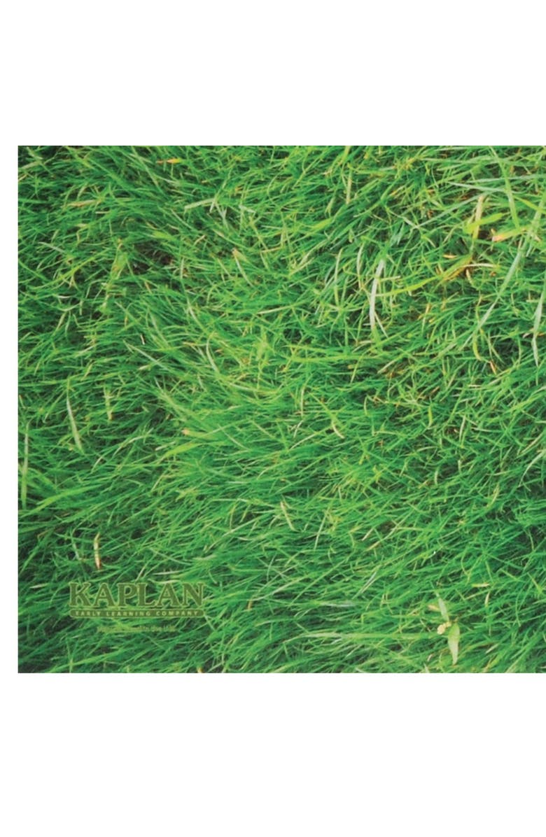 Kaplan Early Learning Company STEM Play Mat - Grass, Alternate, color,