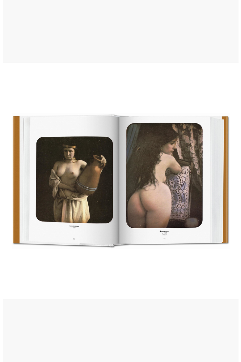 A History of Photography 1839-1939 Book, Alternate, color, Golden Brown