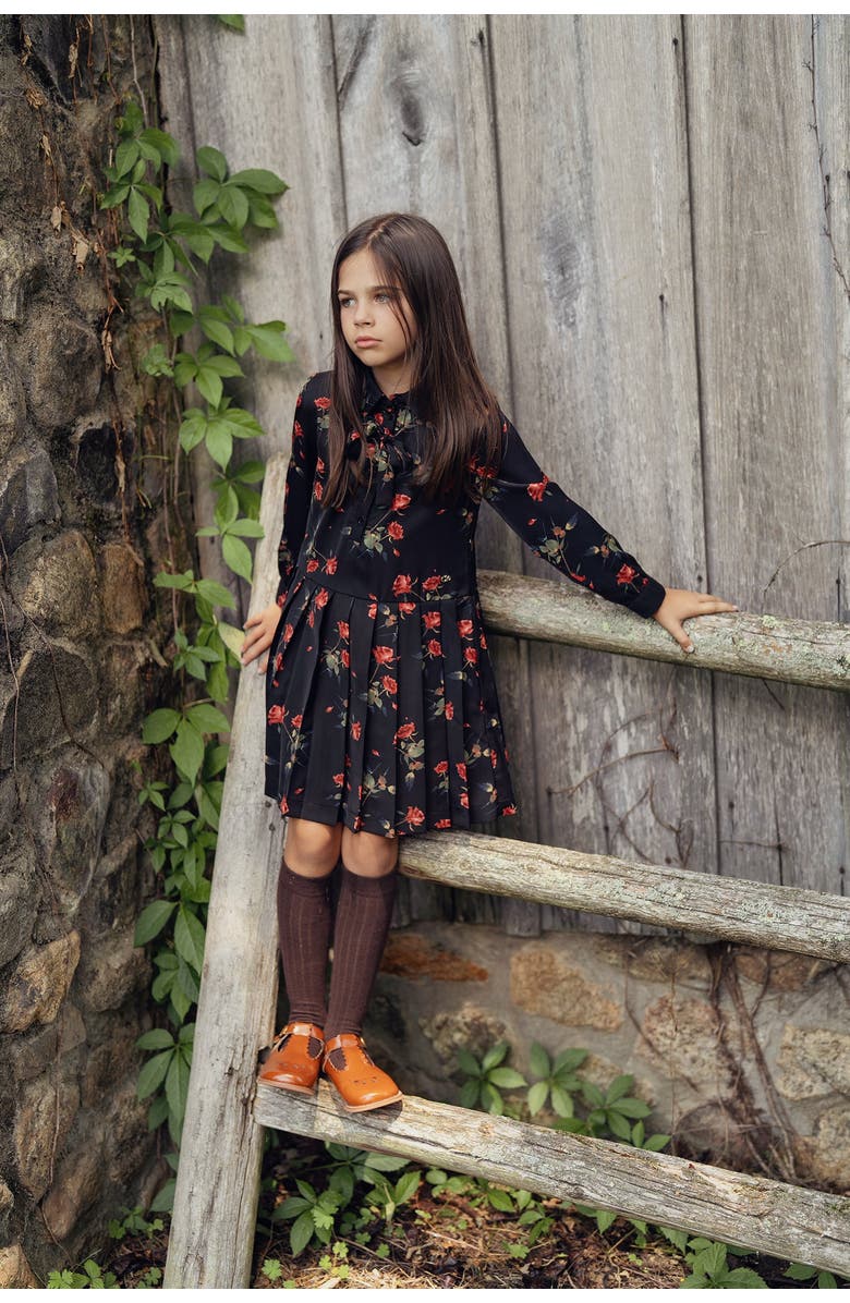 Clô Long Sleeve Woven Rose Print Dress, Alternate, color, Black