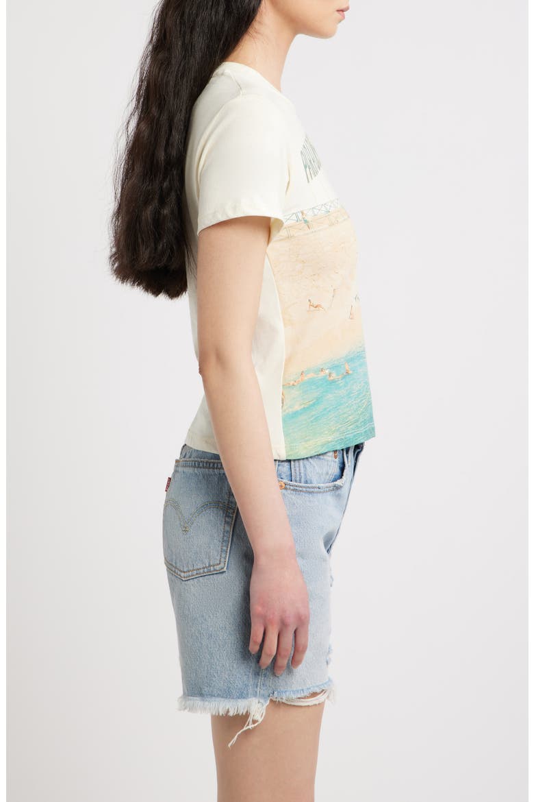 Paradise Graphic T-Shirt, Alternate, color, STONE VINTAGE