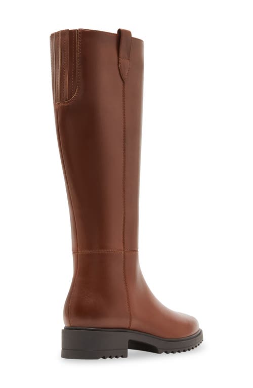 Blondo Calise Waterproof Platform Knee High Boot In Whiskey Leather