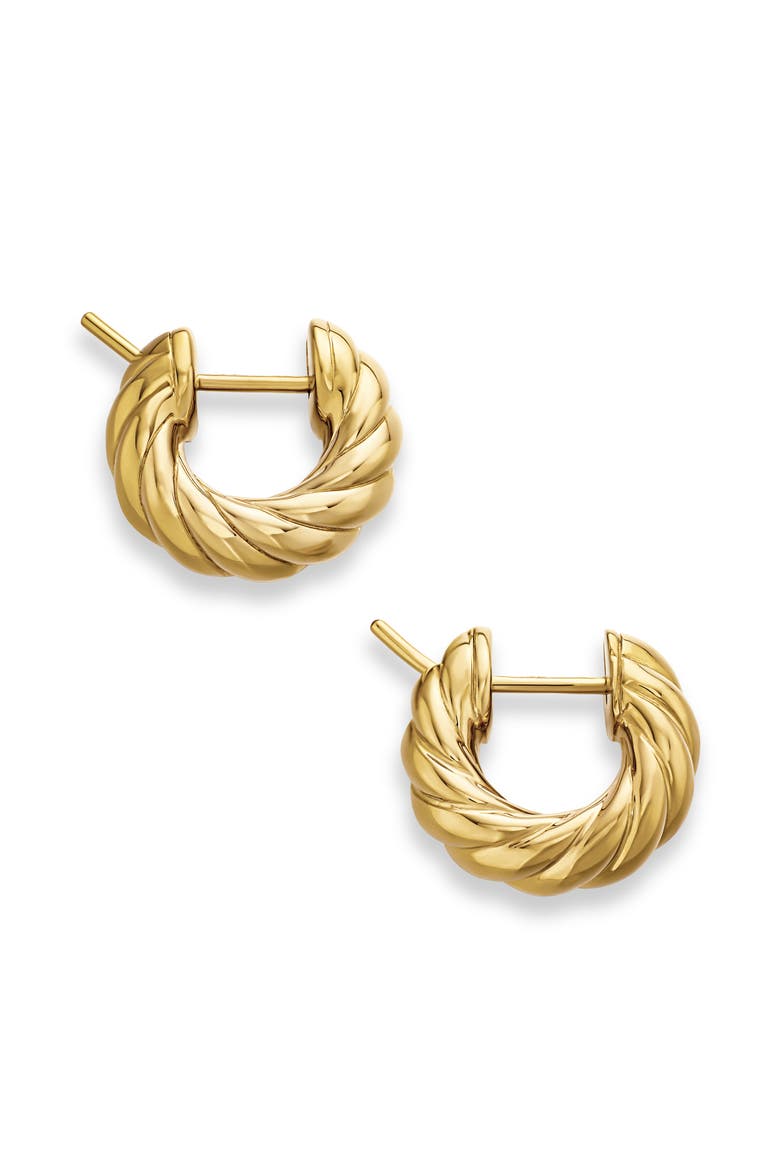 Sculpted Cable Hoop Earrings in 18K Yellow Gold, Alternate, color, 18K YELLOW GOLD