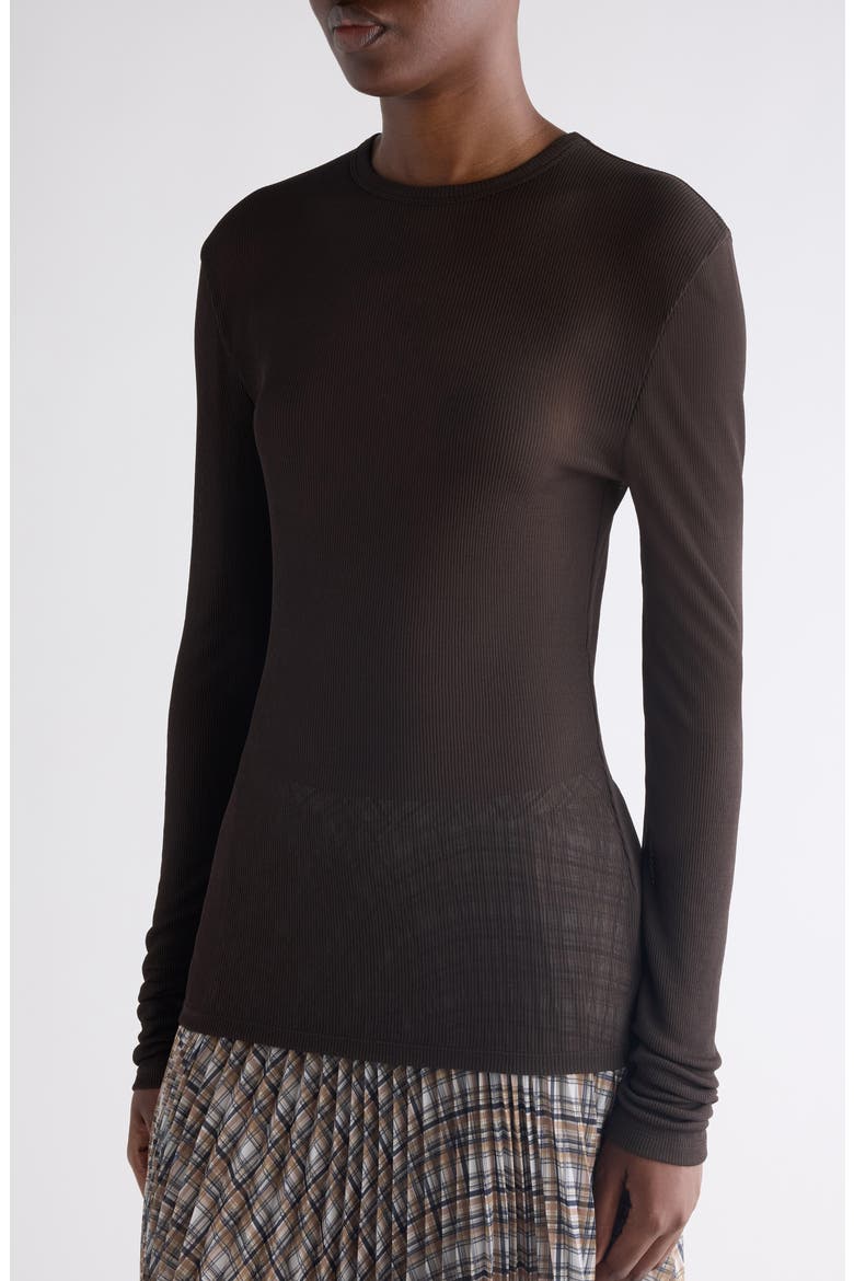 Semisheer Long Sleeve Rib T-Shirt, Alternate, color, DARK BROWN