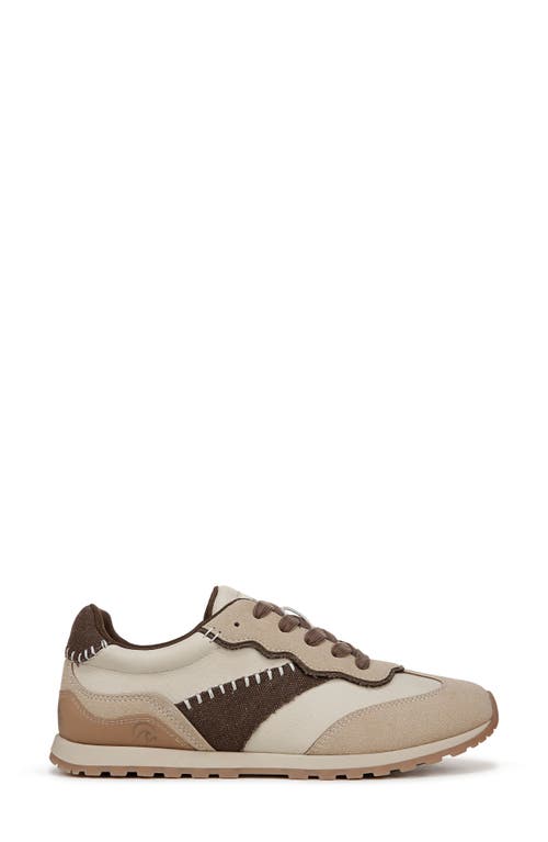 Blowfish Malibu Valley Sneaker In Cream/chocolate Faux Leather