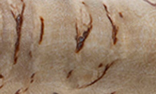 Miyabi Birchwood 7-inch Santoku Knife In Neutral