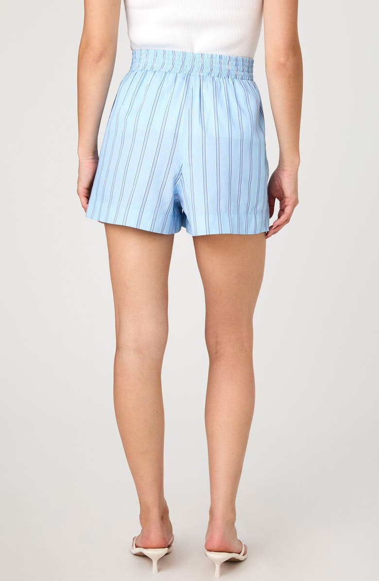 French Connection Lorenzo Stripe Cotton Shorts, Alternate, color, Blue Stripe Multi