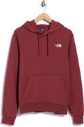 The North Face Evolution Simple Dome Regular Hoodie