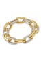 Two-Tone Double Link Bracelet