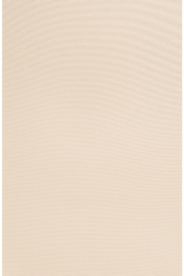 Sexy Sheer High Waist Shaping Briefs, Alternate, color, WARM BEIGE