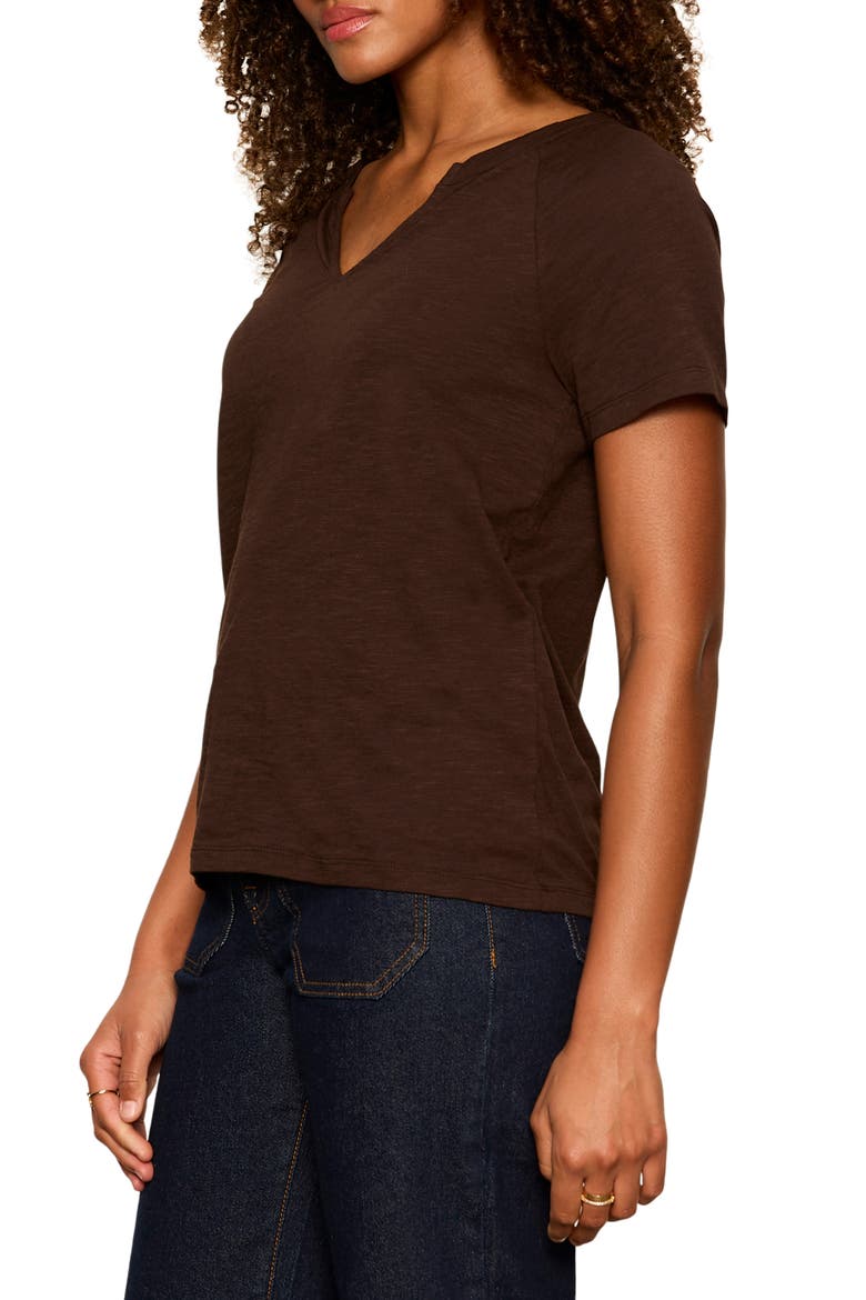 Notch V-Neck Cotton Blend T-Shirt, Alternate, color, RICH SOIL BROWN