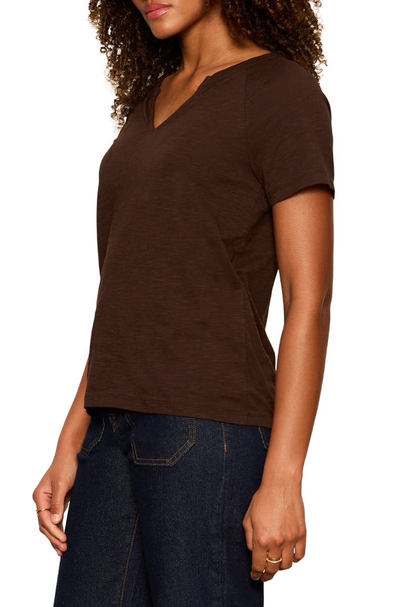 Sanctuary Notch V-Neck Cotton Blend T-Shirt, Alternate, color, Rich Soil Brown