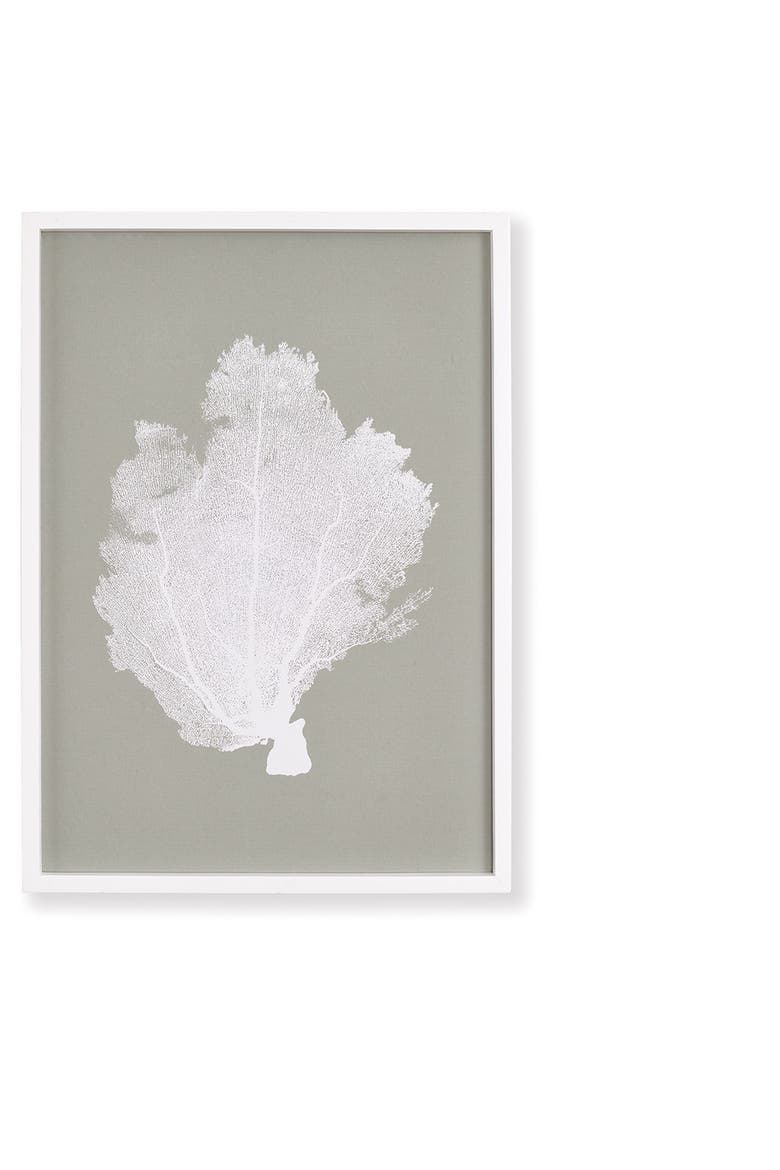 Coral Fans Study Set of 4, Alternate, color, Gray