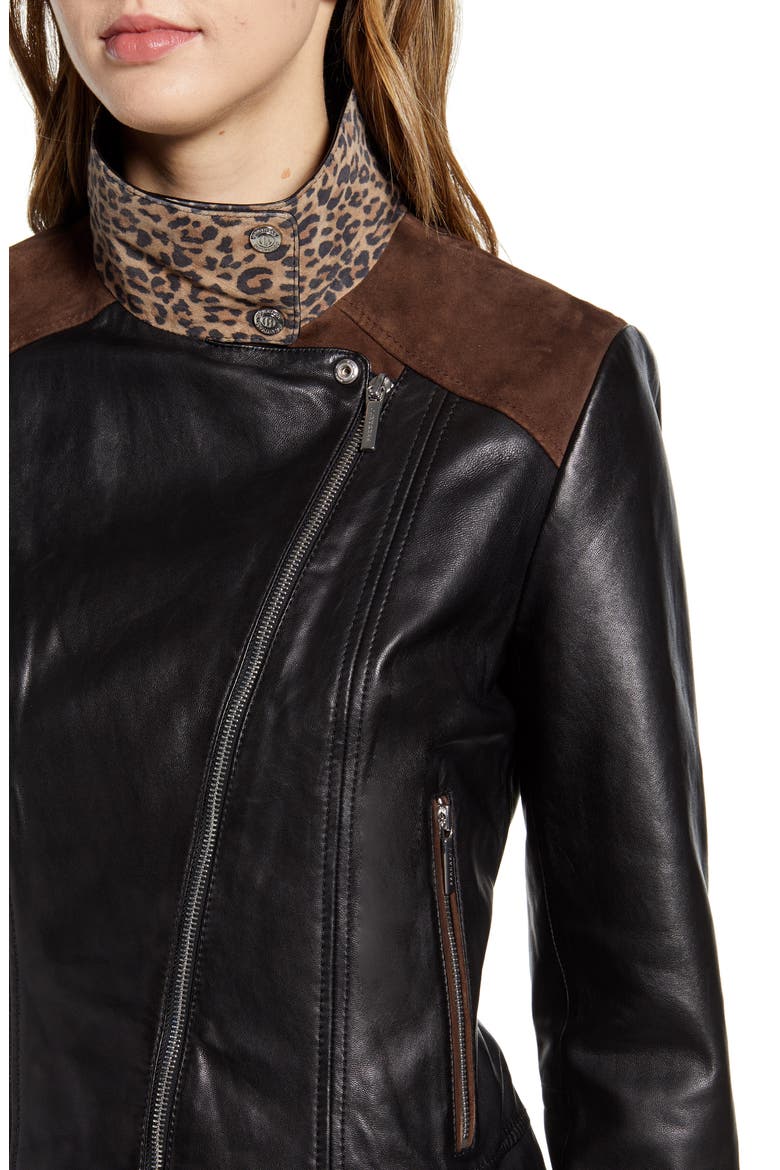 Mixed Media Leather Moto Jacket, Alternate, color, BLACK