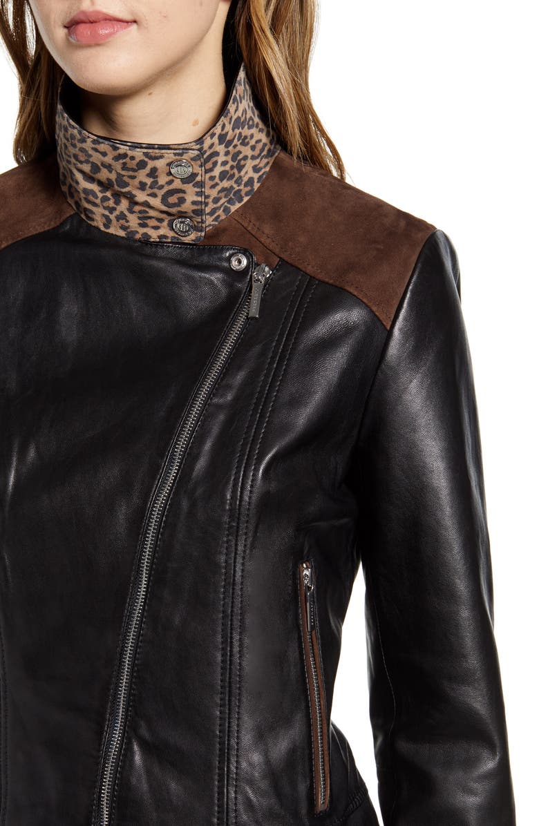 Bernardo Mixed Media Leather Moto Jacket, Alternate, color,
