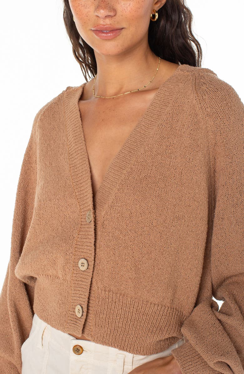 Roxy Balmmy Nights Hooded Cardigan, Alternate, color, 