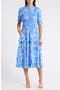 selected Blue-White