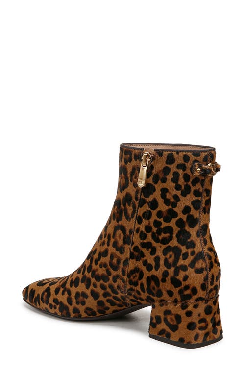 Sam Edelman Paige Genuine Calf Hair Bootie In Granada Tan Calf Hair