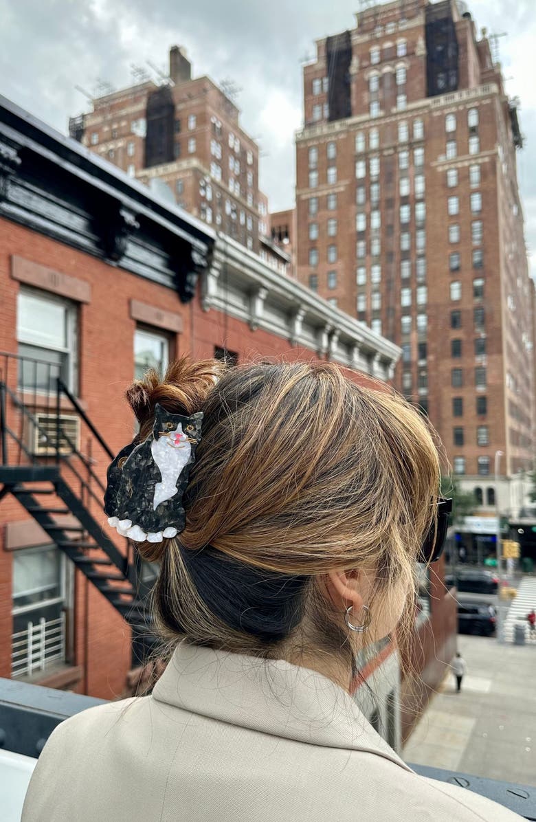 Solar Eclipse Tuxedo Cat Hair Clip, Alternate, color, 