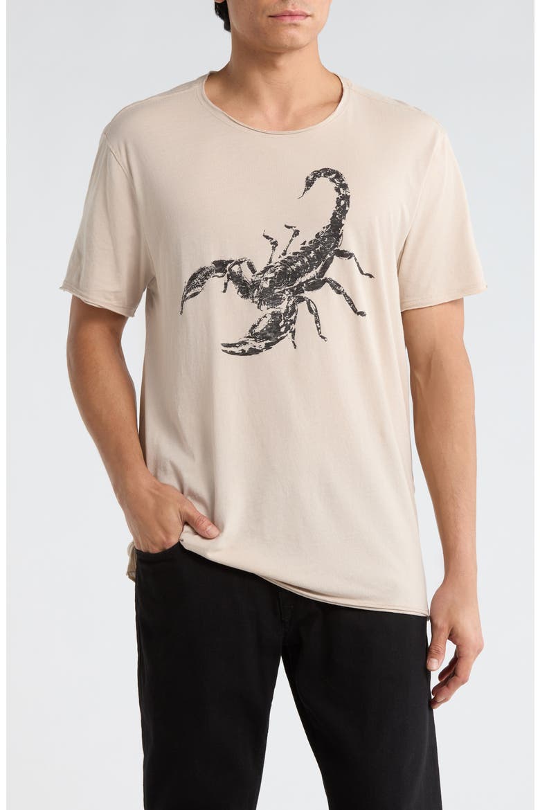 Scorpion Graphic T-Shirt, Main, color, FOSSIL GREY