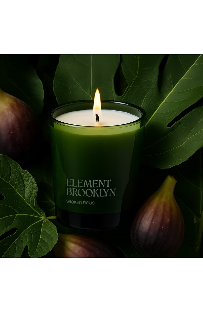 Element Brooklyn Twilight Garden 4-Pack Candles, Alternate, color, Twilight Garden