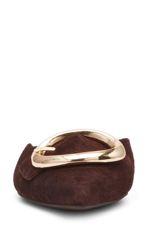 Steve Madden Ira Pointed Toe Mule