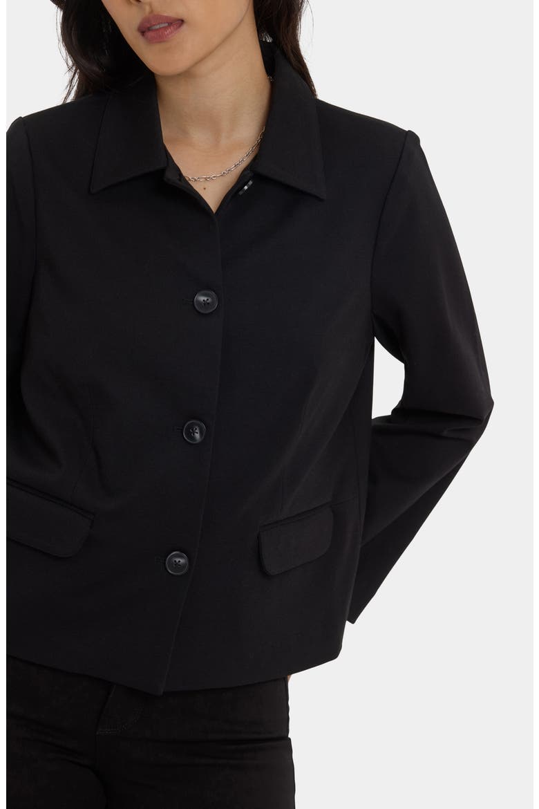 Meredith Ponte Jacket, Alternate, color, BLACK
