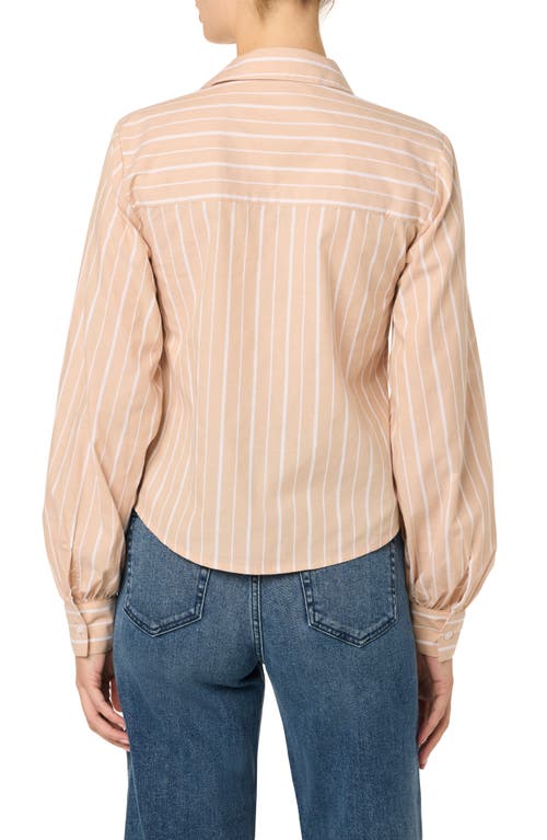 Joe's Stripe Pleated Cotton Button-up Shirt In Tan/white Stripe