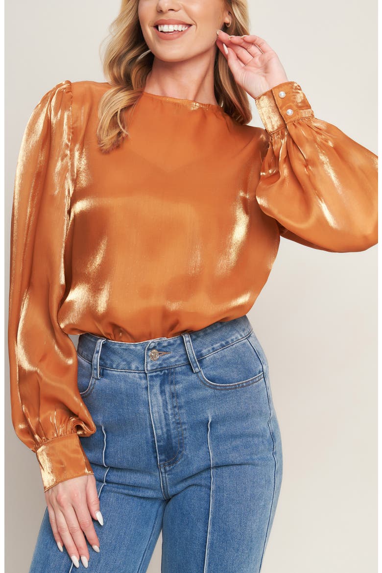 Sheen Long Sleeve Top, Alternate, color, BRONZE