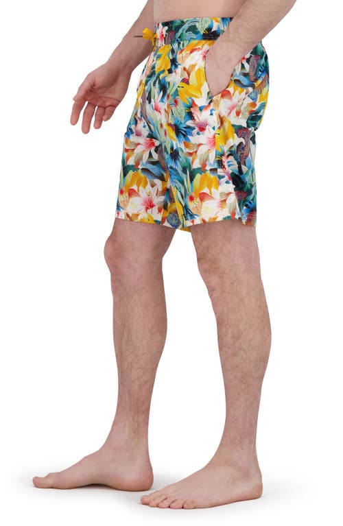 Shop Robert Graham Quickdry Boxer Board Shorts
