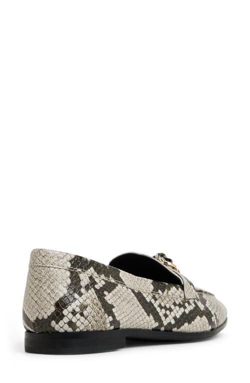 Aldo Ybilide Loafer In Multi