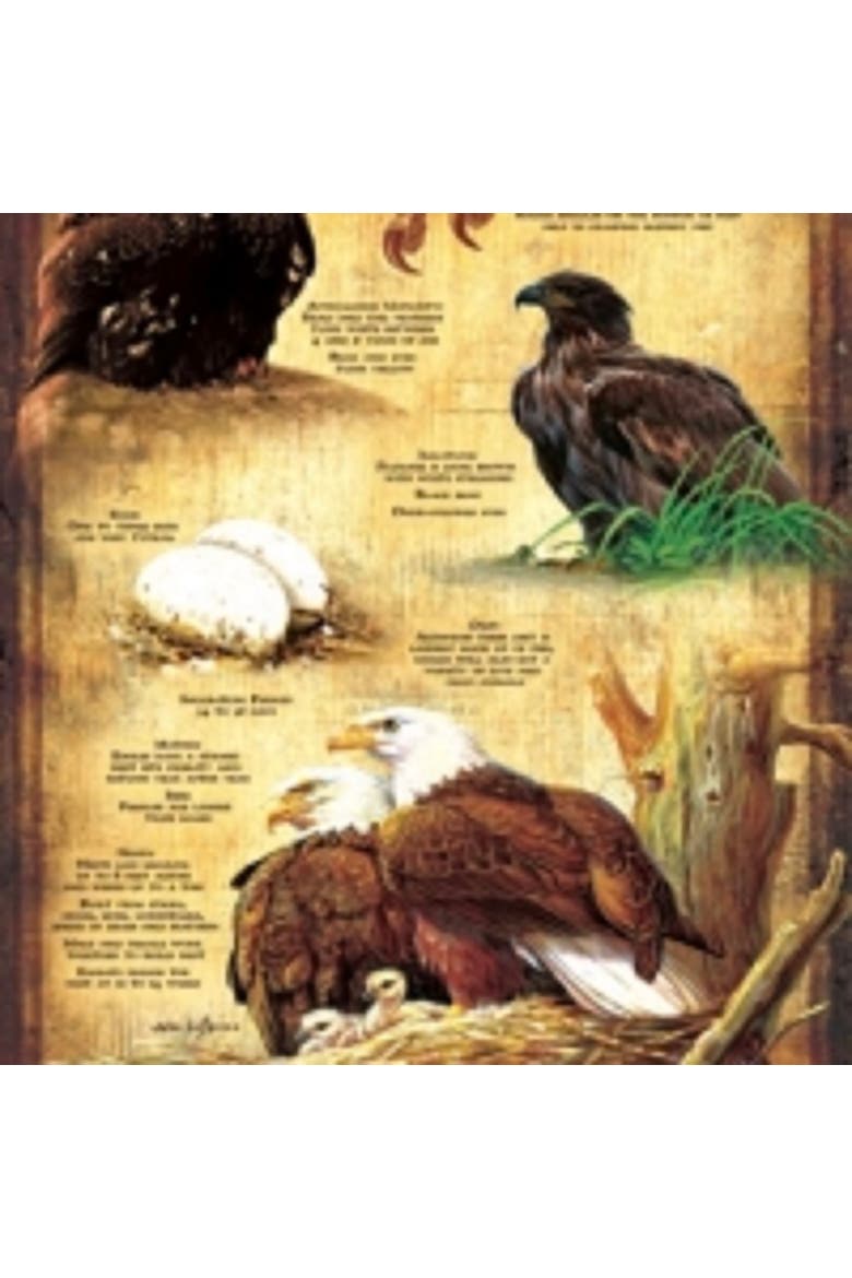 Life Cycle of the Bald Eagle 500 piece Jigsaw Puzzle for Adults, Alternate, color, Multicolor