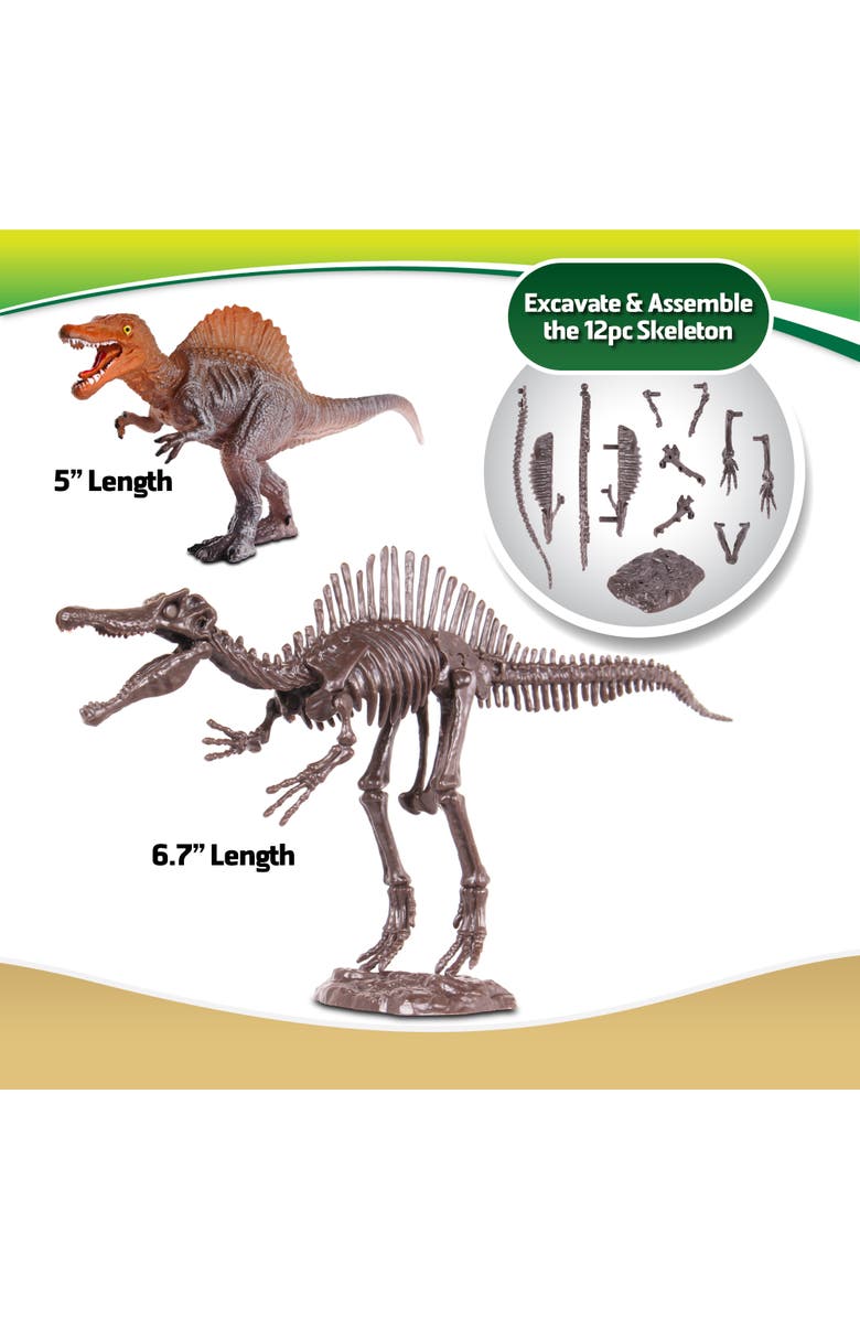 WowWorld Dino Dig Spinosaurus Skeleton Excavation Kit, Ages 6+, Alternate, color, 
