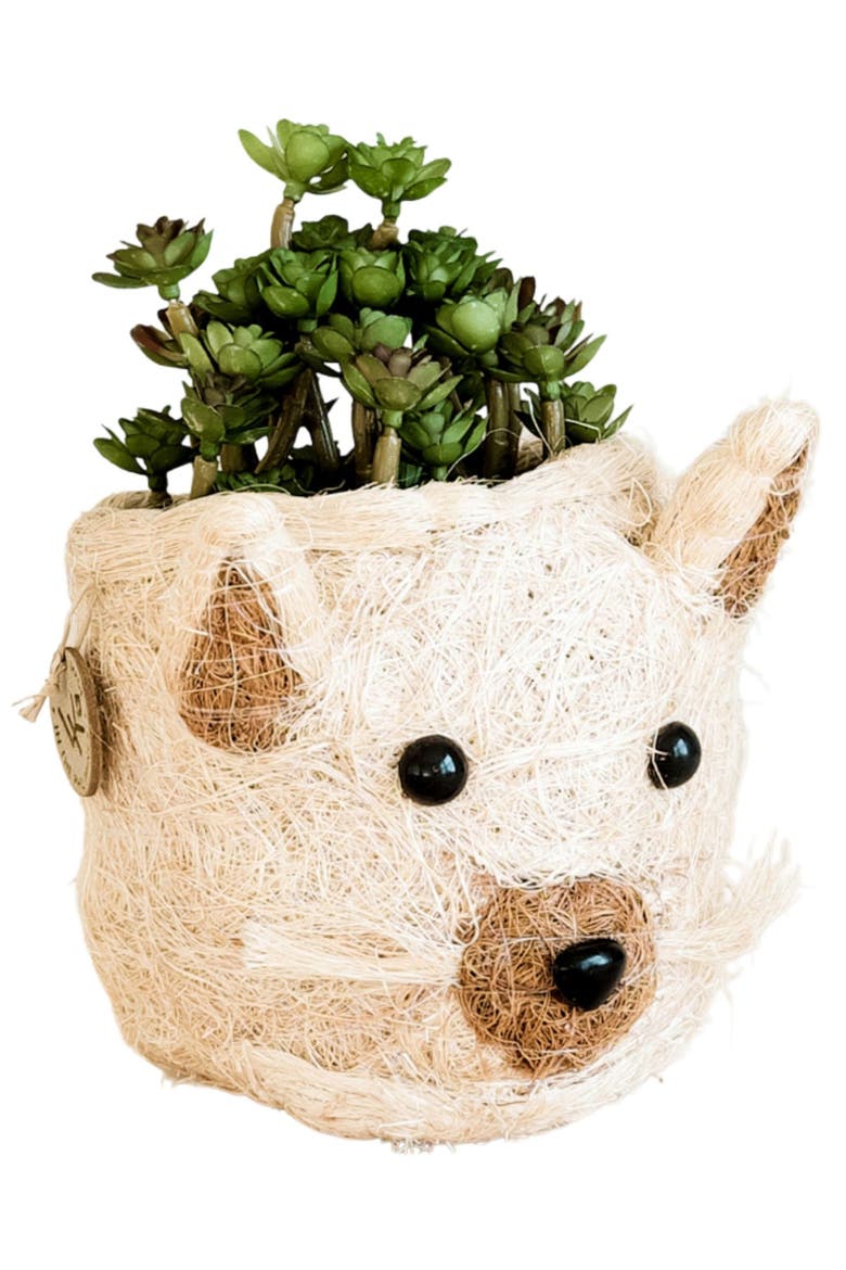 Mini Cat Succulent Planter, Main, color, WHITE / BROWN