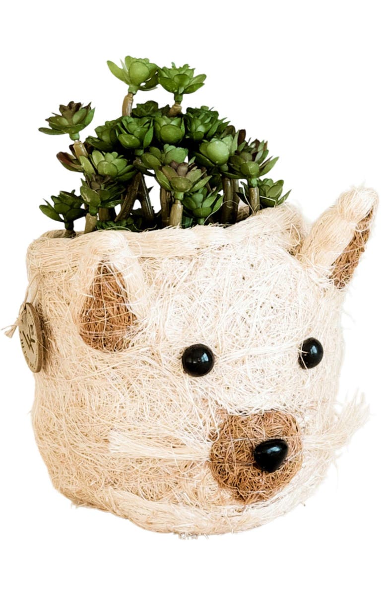 LIKHA Mini Cat Succulent Planter, Main, color, White / Brown