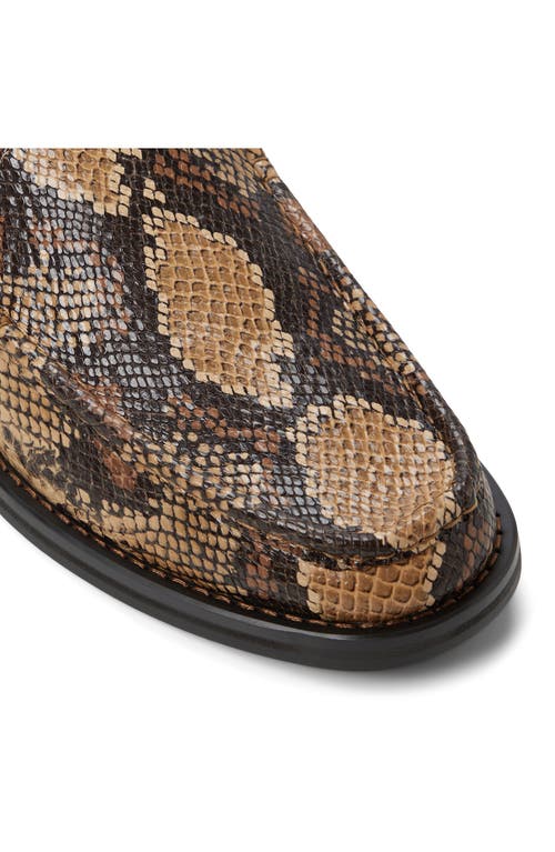 Call It Spring By Aldo Wilshire Loafer In Multi