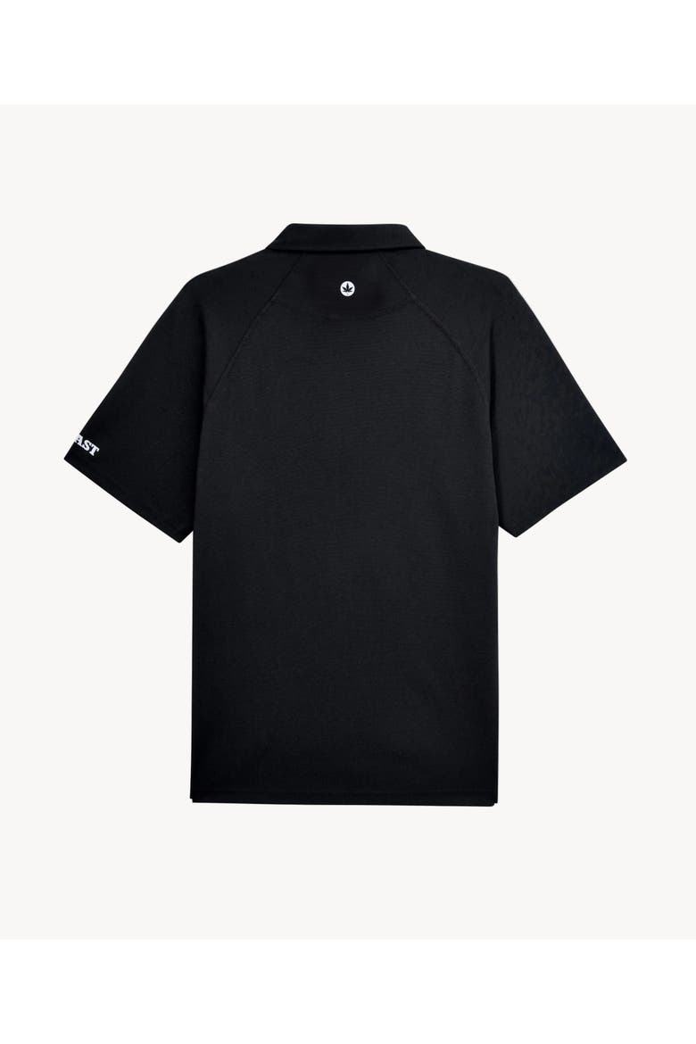 Performance Raglan Polo 2.0, Alternate, color, Black