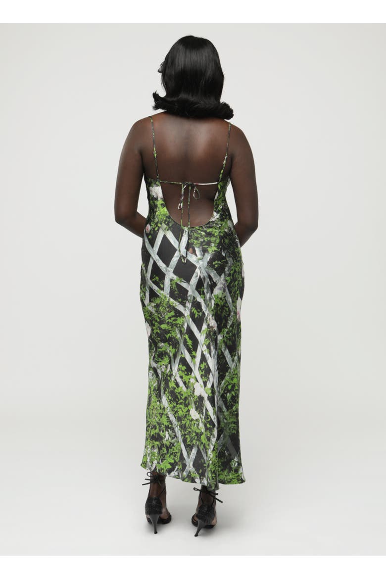 Elisa Dress, Alternate, color, Leafy Rose Trellis