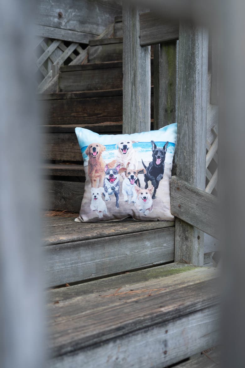 Running Summer Dogs HD Printed Accent Throw Pillow 18" x 18", Alternate, color, Beige