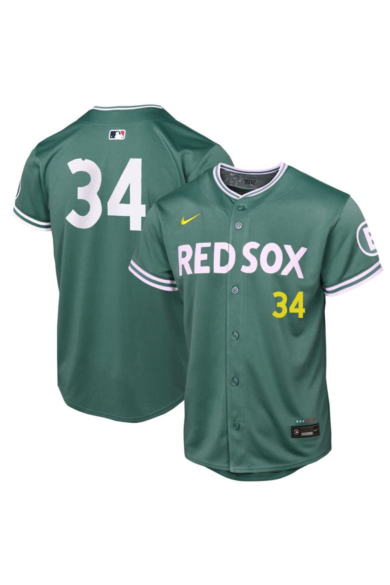 Youth Nike David Ortiz Green Boston Red Sox 2025 City Connect Limited Retired Player Jersey, Alternate, color, Green