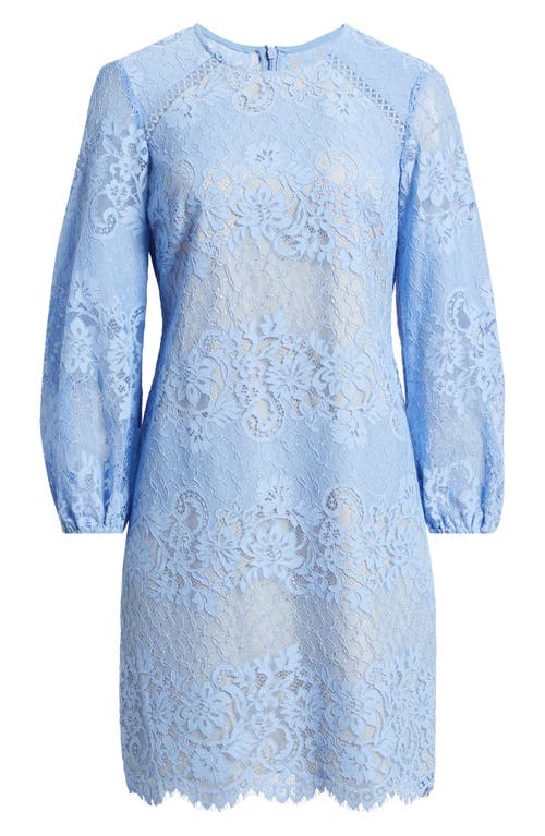 Vince Camuto Floral Lace Long Sleeve Shift Dress In Periwinkle