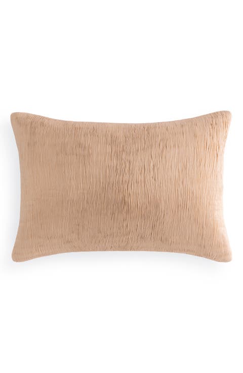 Evolution Accent Pillow