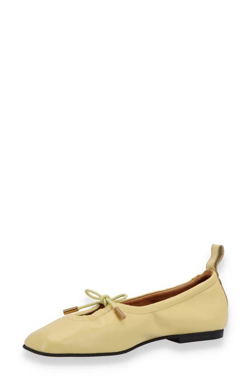Alohas Rosalind Ballet Flat In Yellow