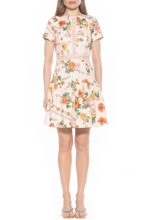 Alexa Lace Trim Fit & Flare Dress