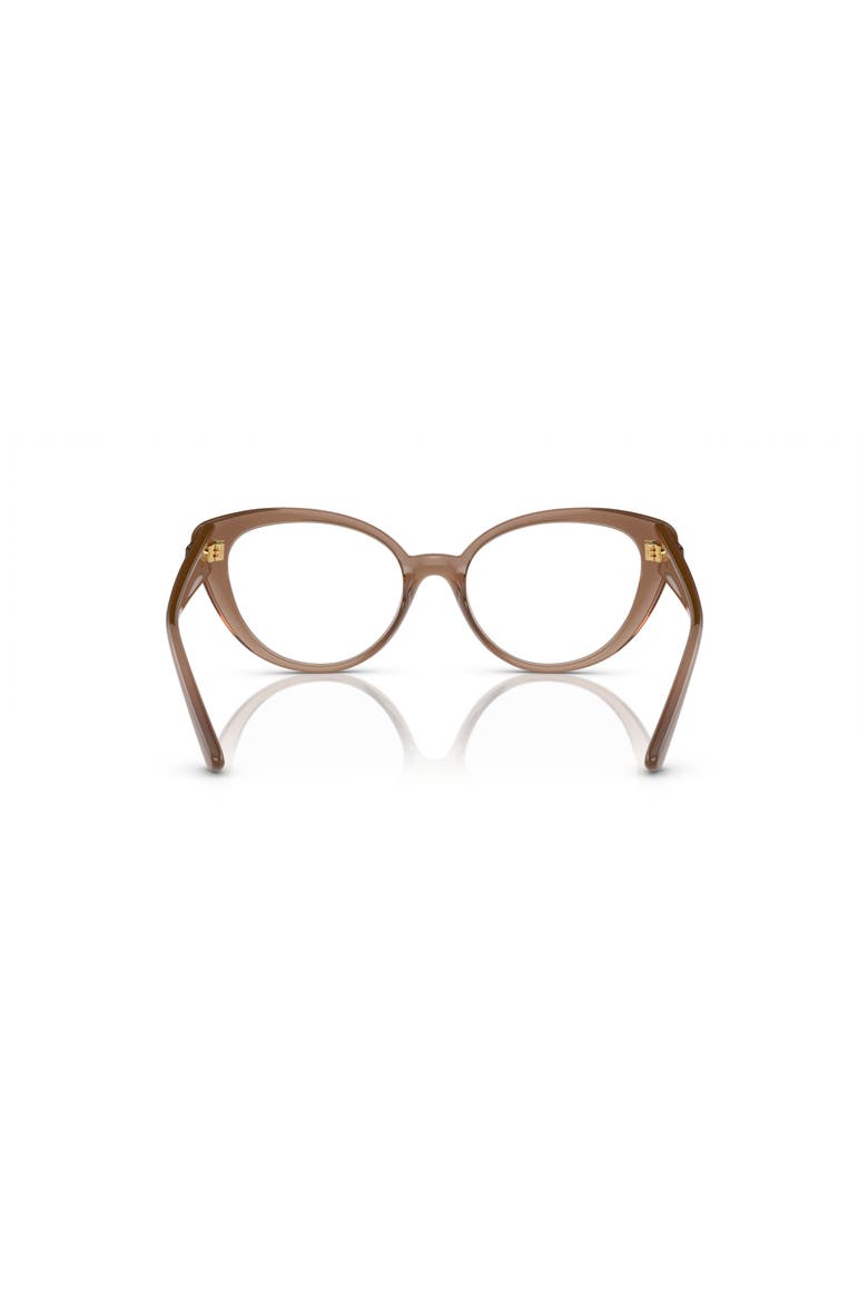 53mm Oval optical glasses, Alternate, color, Brown