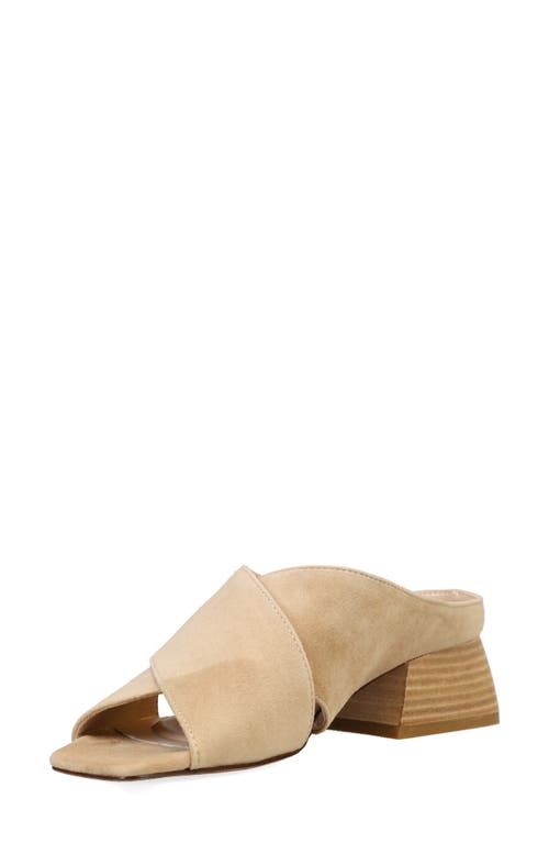 Pelle Moda Nieve Slide Sandal In Brown